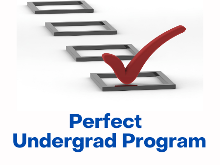 Undergraduate Program