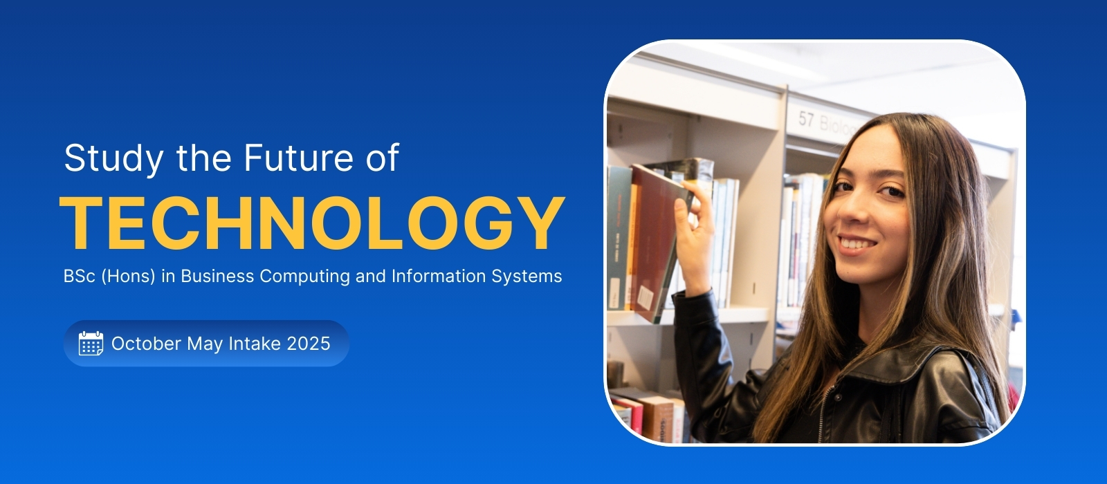 bsc-hons-in-business-computing-and-information-systems